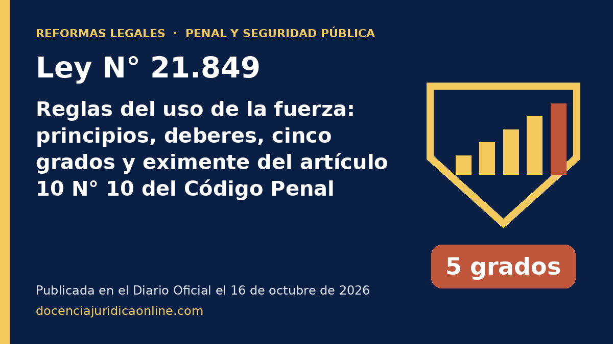 Ley 21.849: reglas del uso de la fuerza, principios, deberes, cinco grados y eximente del artículo 10 N° 10 del Código Penal
